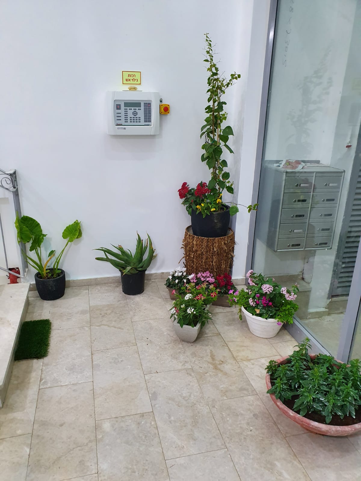 WhatsApp Image 2020-04-08 at 3.43.59 PM (2).jpeg.jpeg